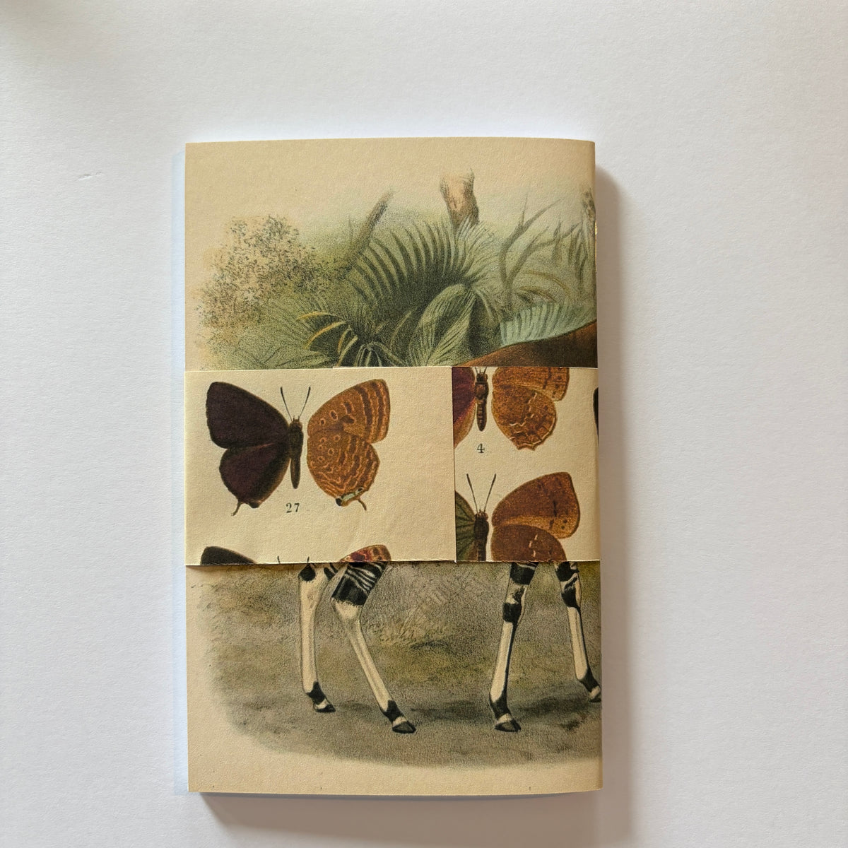 The Biodiversity Series - No 1 "Okapi"