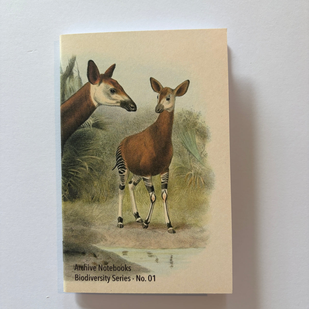 The Biodiversity Series - No 1 "Okapi"
